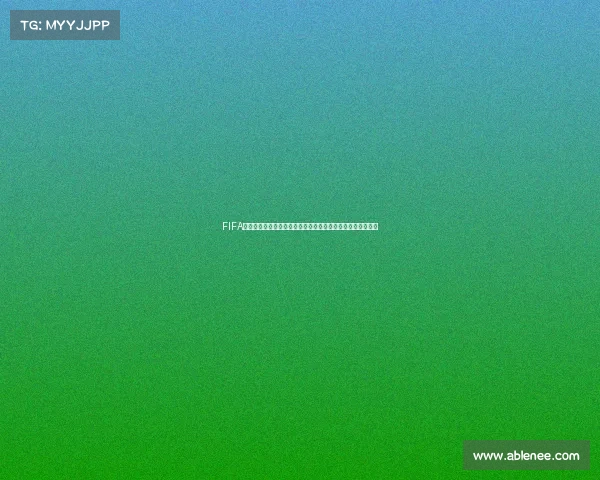 FIFA世界杯马图伊迪实力解析到底有多厉害在法国队中的作用评估